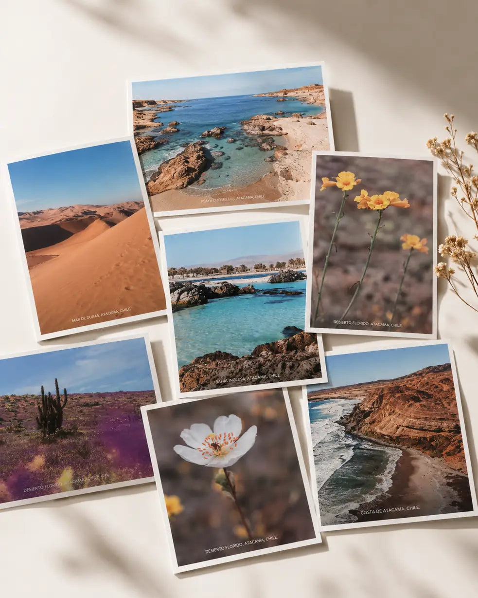 Postales fotográficas de Atacama de Valeska Ávalos