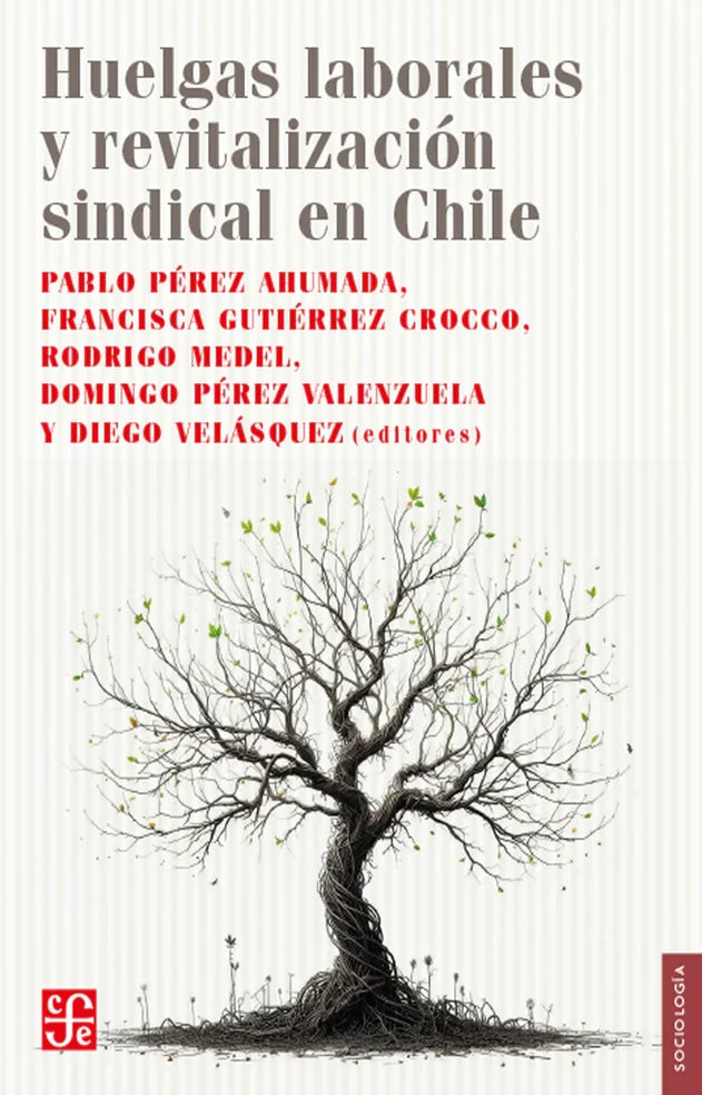 Portada de HUELGAS LABORALES Y REVITALIZACION SIN