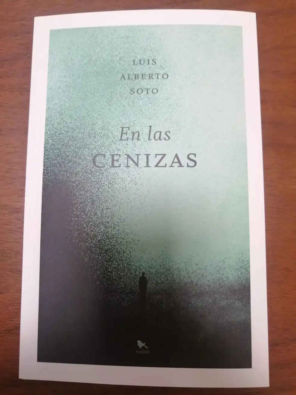 Portada de EN LAS CENIZAS - Luis Alberto Soto