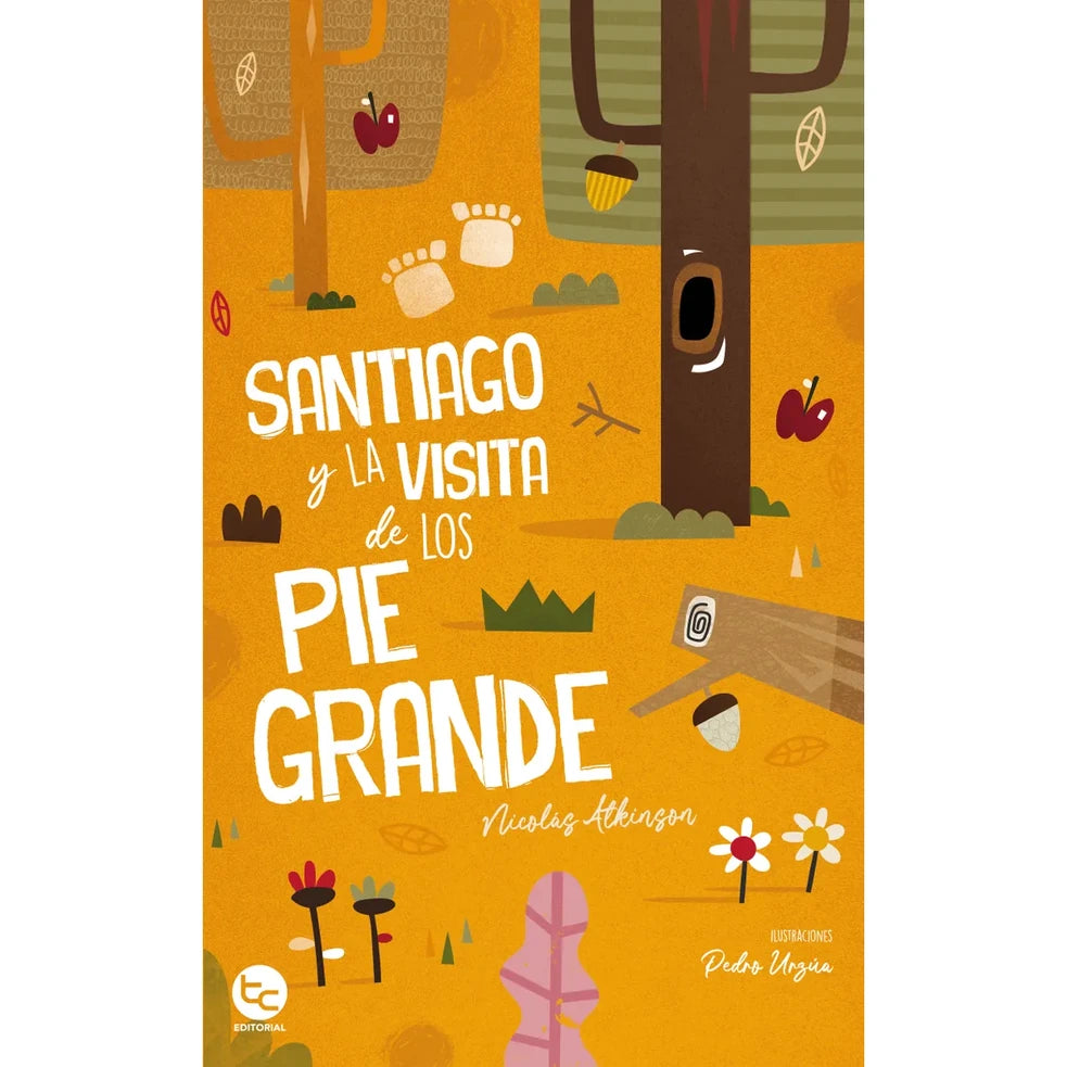Portada de SANTIAGO Y LA VISTA DE LOS PIE GRANDE - Nicolás Atkinson