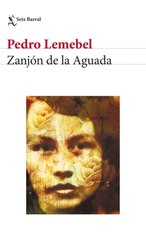 Portada de ZANJON DE LA AGUADA