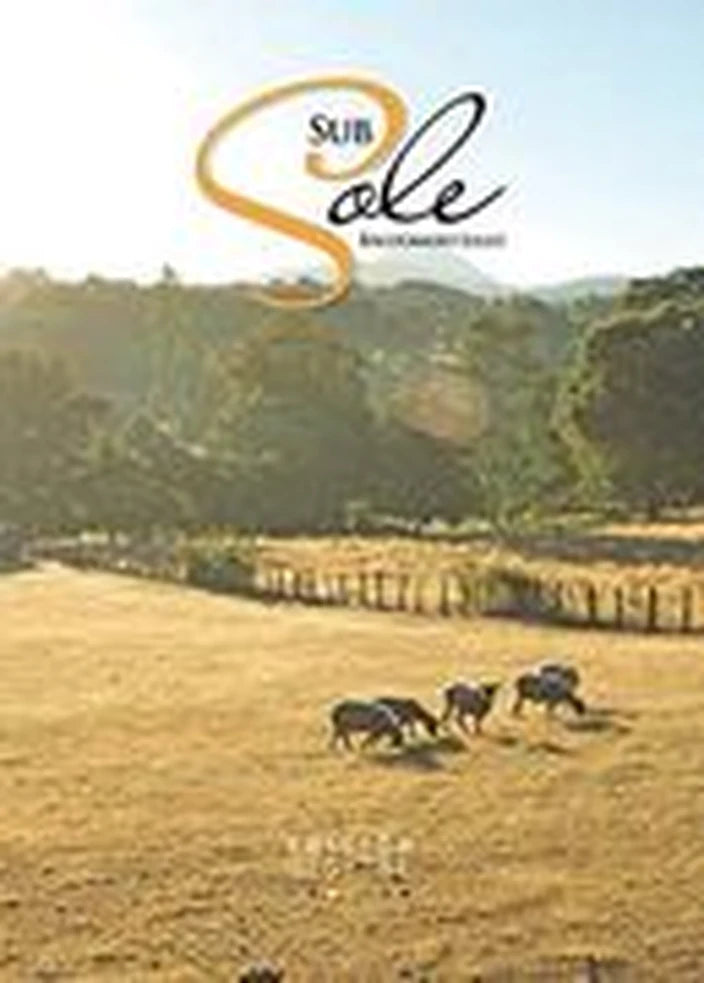 Portada de Sub sole