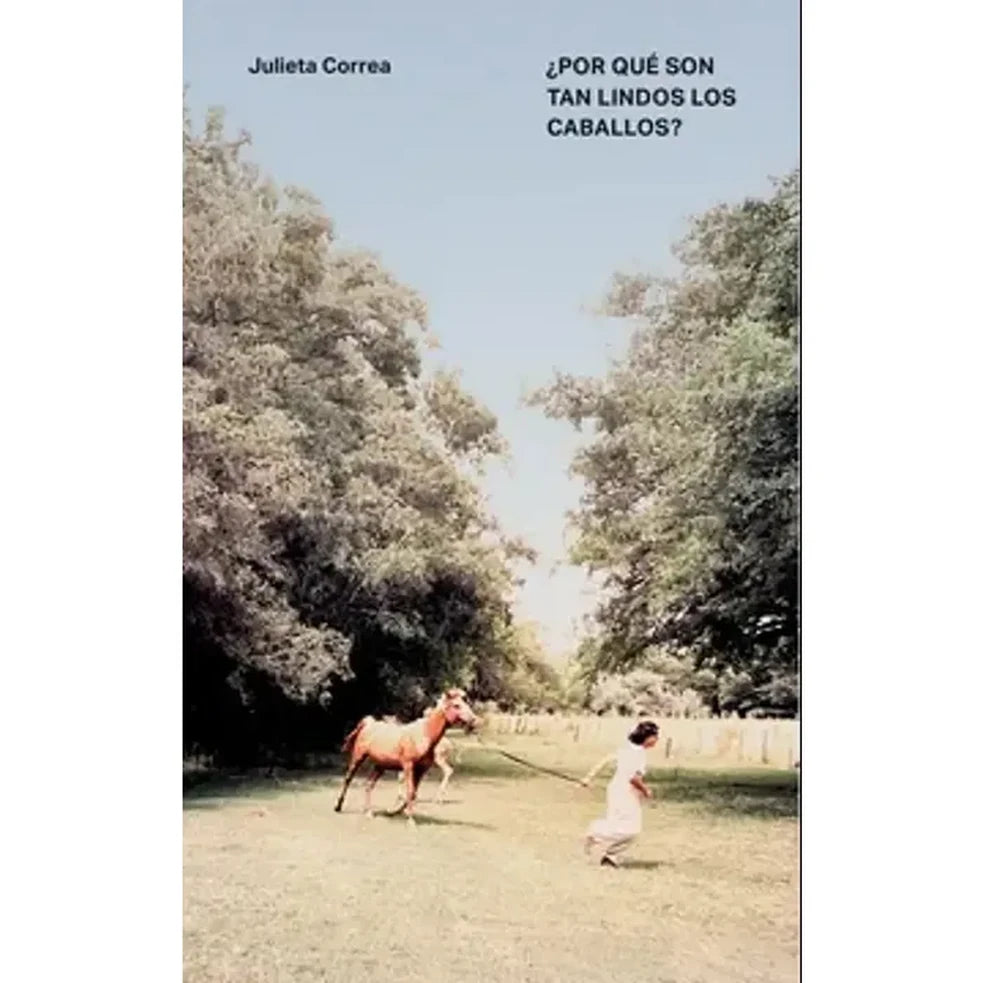 Portada de ¿Por qué son tan lindos los caballos? - Julieta Correa