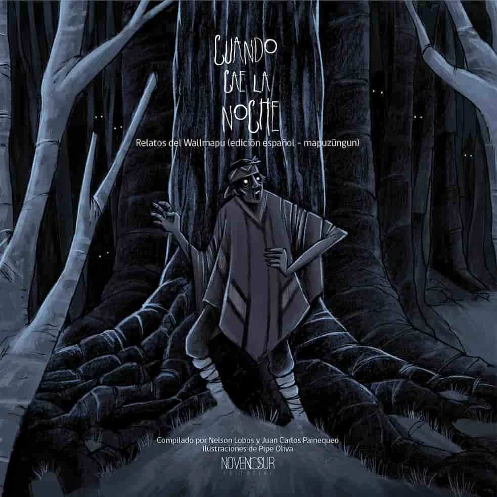 Portada de Cuando Cae la Noche — Juan Carlos Painequeo. ISBN 9789569424045