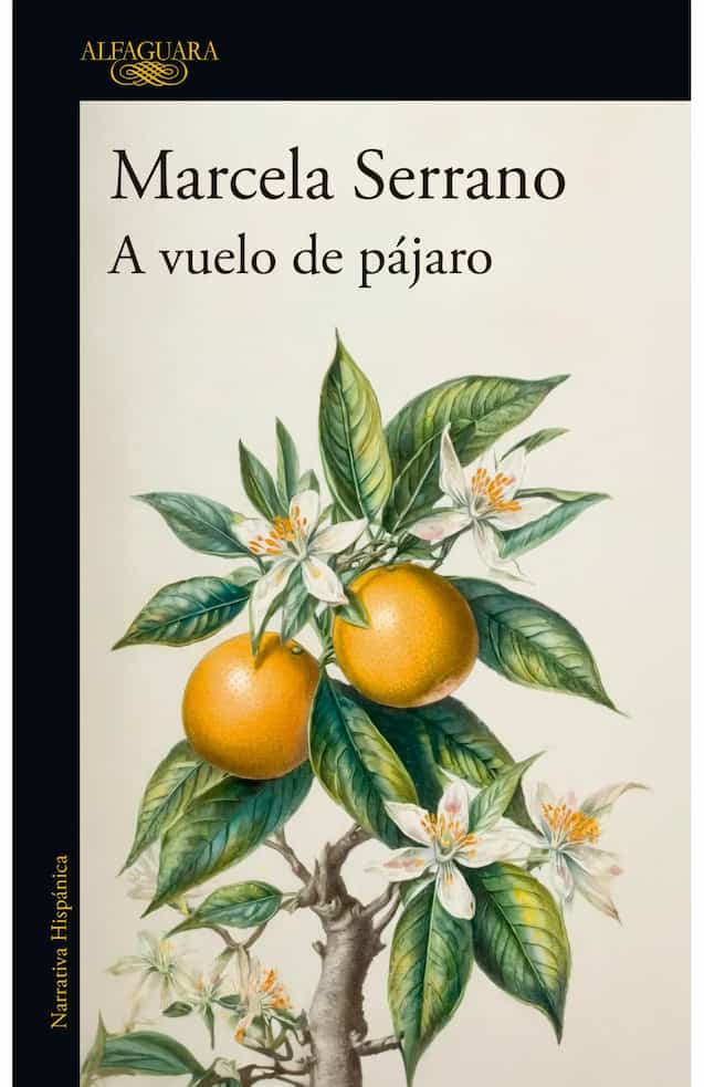 Portada del libro A VUELO DE PAJARO de MARCELA SERRANO , publicado por ALFAGUARA