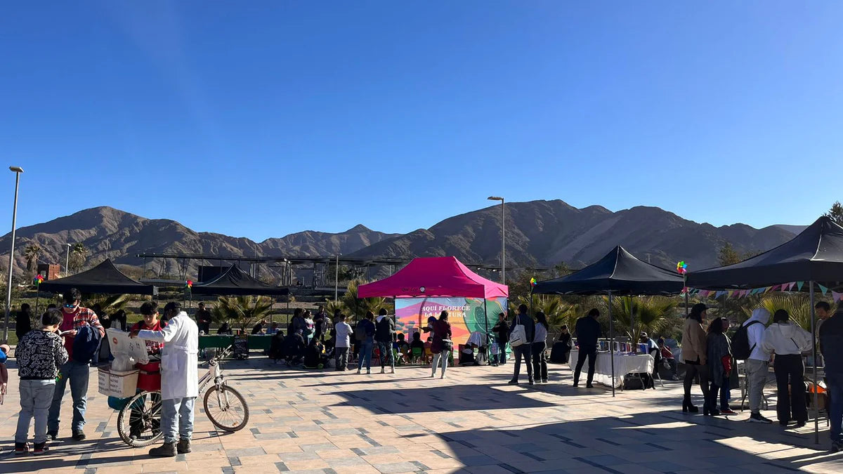 Todo un éxito resultó el Primer Paseo de Libros Kaukari