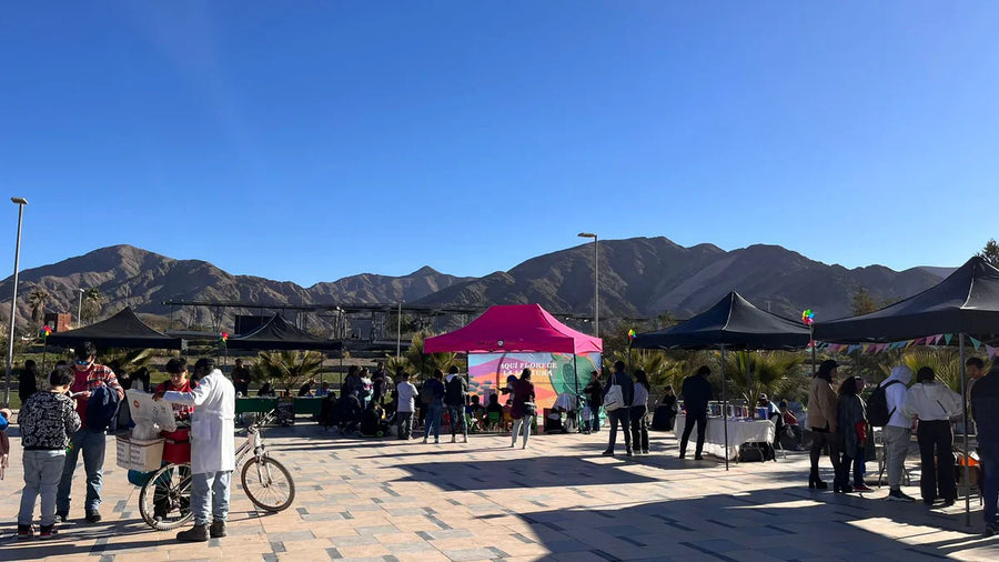 Afiche y fotografías del Paseo de Libros Qué Leo en Parque Kaukari, 13 de julio de 2024, Copiapó