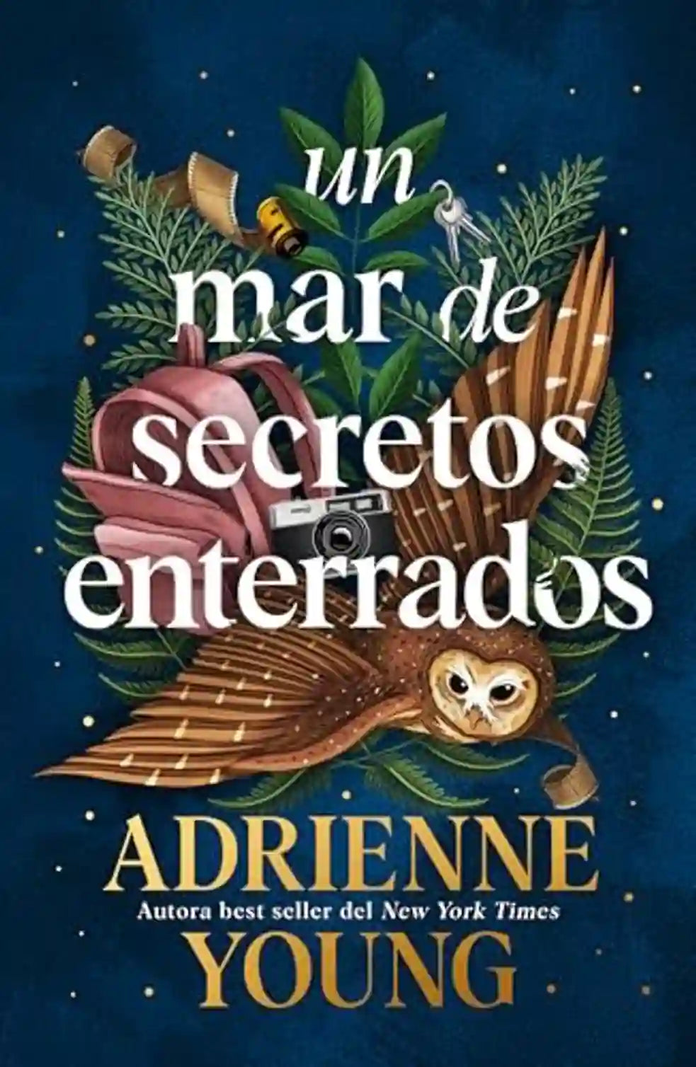 Portada de UN MAR DE SECRETOS ENTERRADOS - Adrienne Young