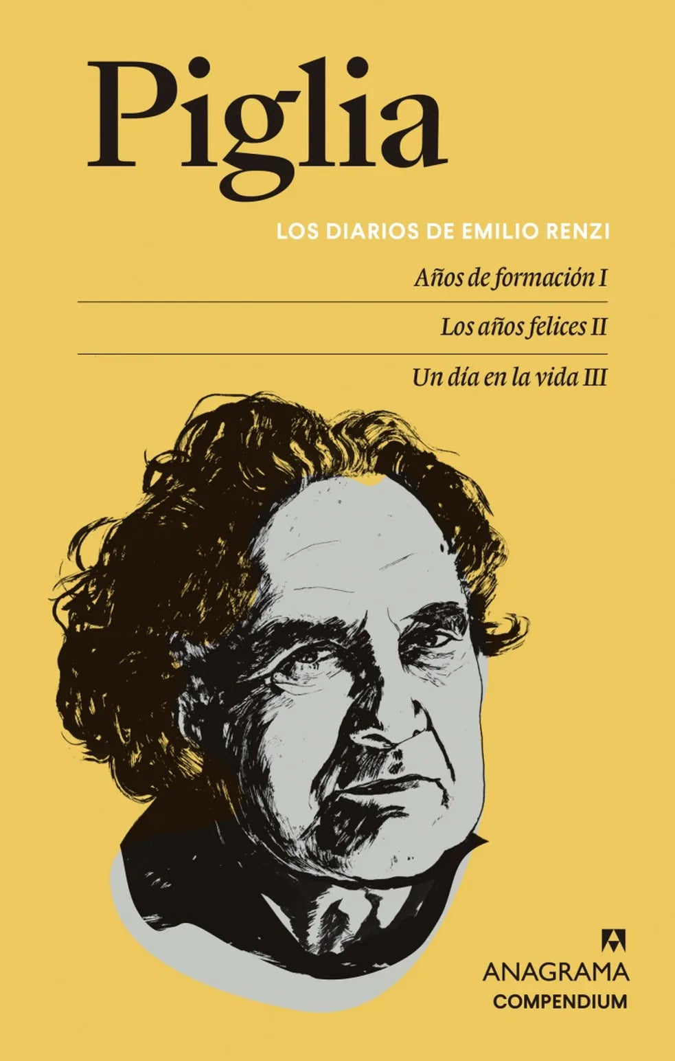 Portada del libro Los diarios de Emilio Renzi. Años de formación