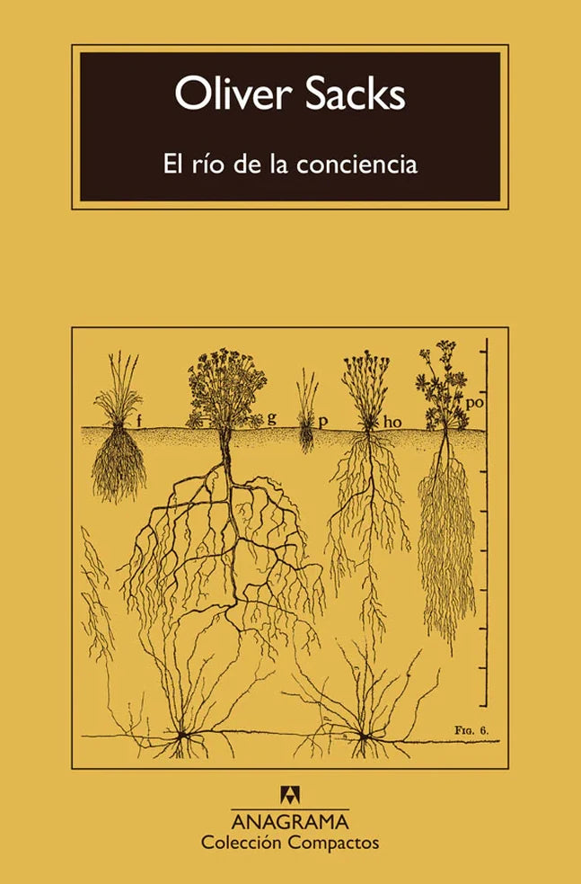 Portada de EL RIO DE LA CONCIENCIA
