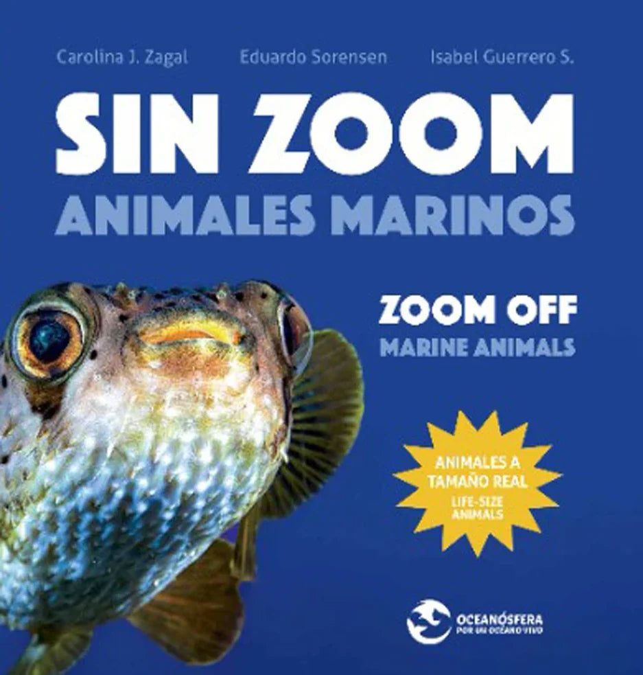 Portada de Sin Zoom: animales marinos