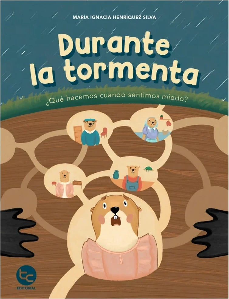 Portada de Durante la tormenta