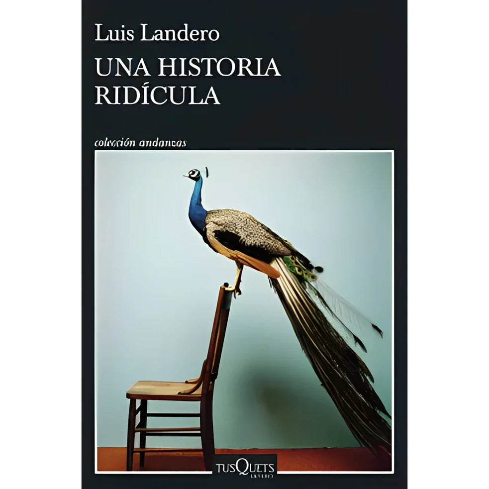 Portada de Una Historia Ridicula