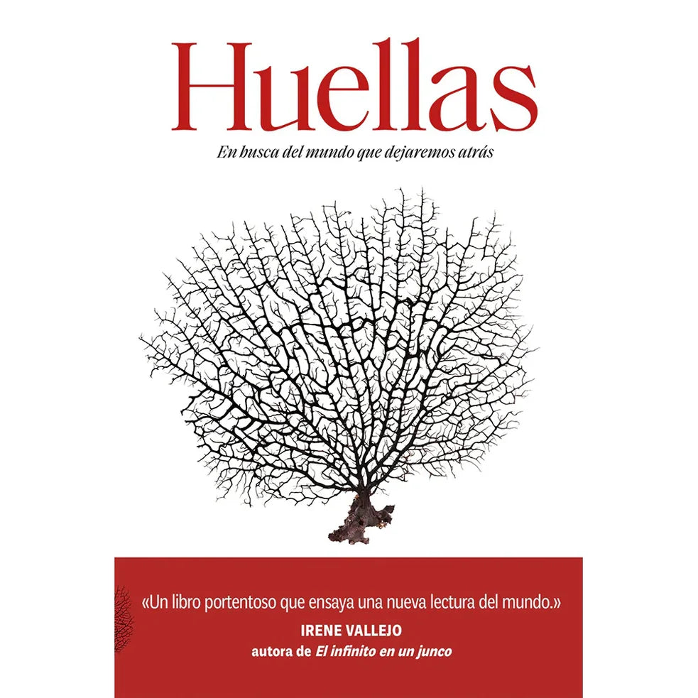 Portada de HUELLAS — IRENE VALLEJO. ISBN 9789569993107