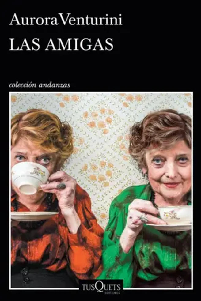Portada de LAS AMIGAS