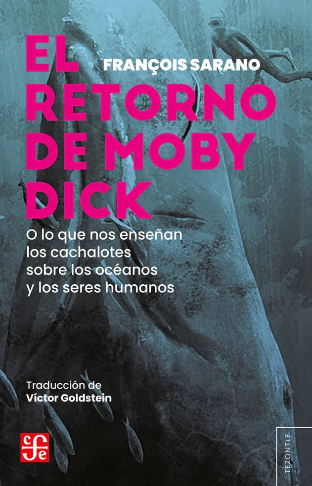 Portada de El retorno de Moby Dick