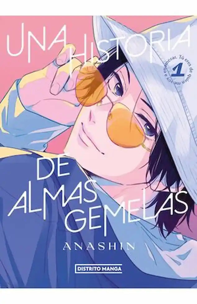 Portada del libro UNA HISTORIA DE ALMAS GEMELAS de ANASHIN , publicado por DISTRITO MANGA