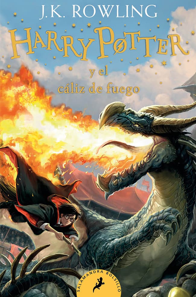 comprar libro HARRY POTTER Y EL CALIZ DE FUEGO J K ROWLING Leolibros.cl / Qué Leo Copiapó