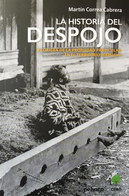 Comprar libro  LA HISTORIA DEL DESPOJO - MARTIN CORREA con envío rápido a todo Chile