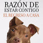 Comprar libro  LA RAZON DE ESTAR CONTIGO ELREGRESO A - BRUCE CAMERON con envío rápido a todo Chile