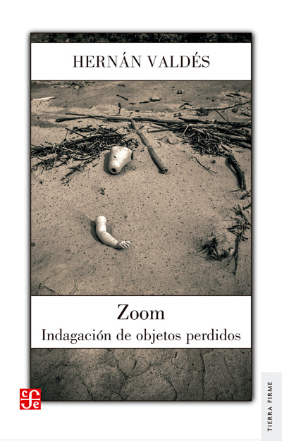 Comprar libro  ZOOM - HERNAN VALDES con envío rápido a todo Chile